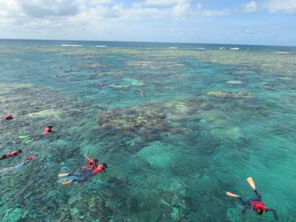 Great Barrier Reef off of Cairns, Austrlaia