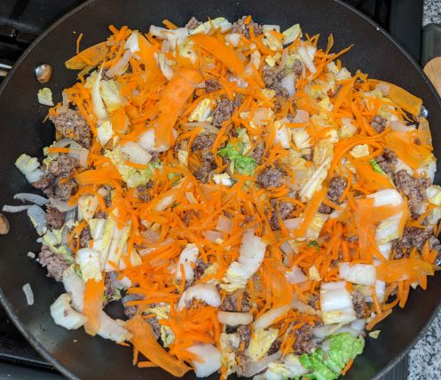 Beef, Onions, Carrots, and Cabbage in Pan