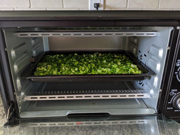 Green Onions drying in toaster oven