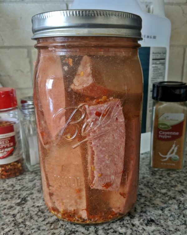 Hot Bologna - Pickled Ring Bologna in Jar