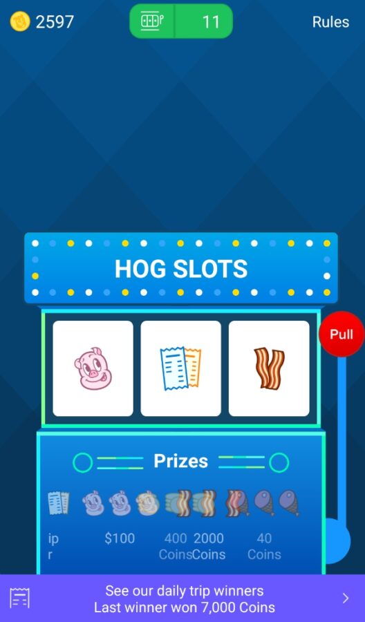 Receipt Hog Slots