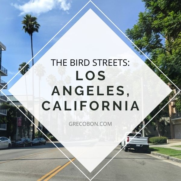 Read more about the article Bird Streets of Los Angeles