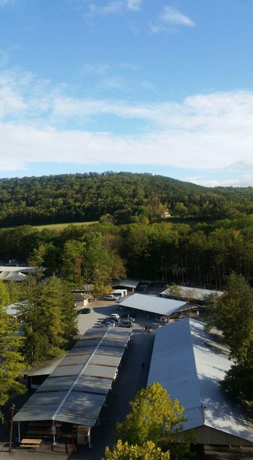 Knoebels Amusement Resort view of Picnic Grove