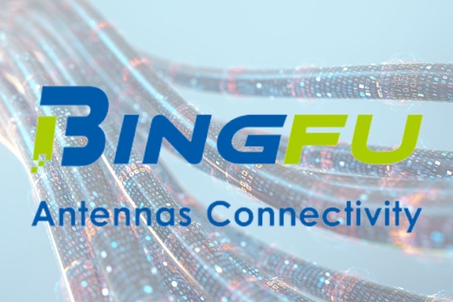 bingfu
