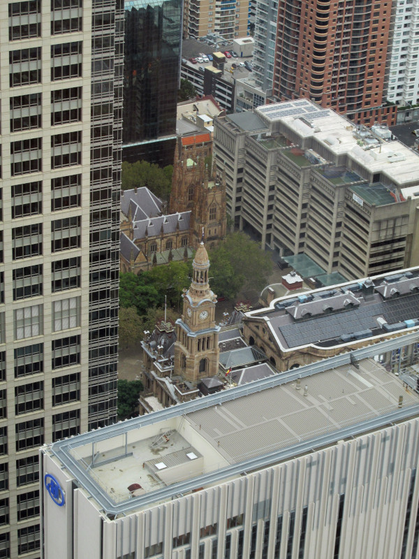 Town Hall and St. Andrew's Cathedral from Sydney Tower Eye