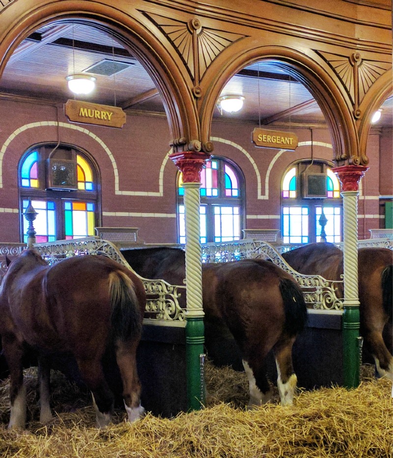 Budweiser Brewery Experience