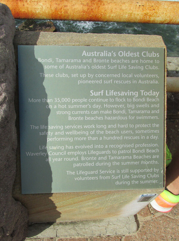 Dedication to Surf Lifesaving Clubs of Bondi