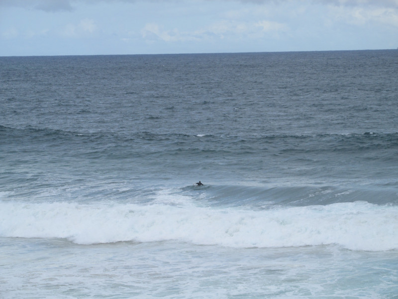 Surfer in Water at Bondi Beach