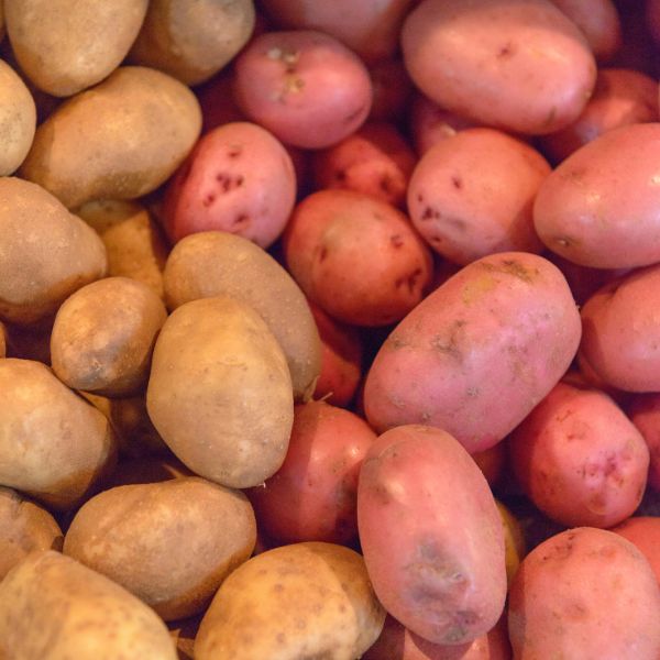 Potato Recipes Around the World
