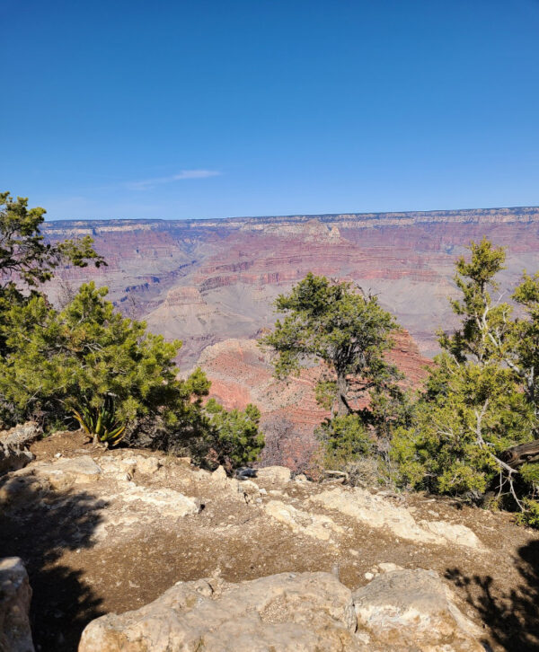 Views along the South Rim Trail GCNP