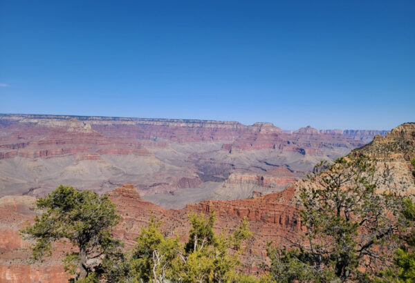 Views along the South Rim Trail GCNP