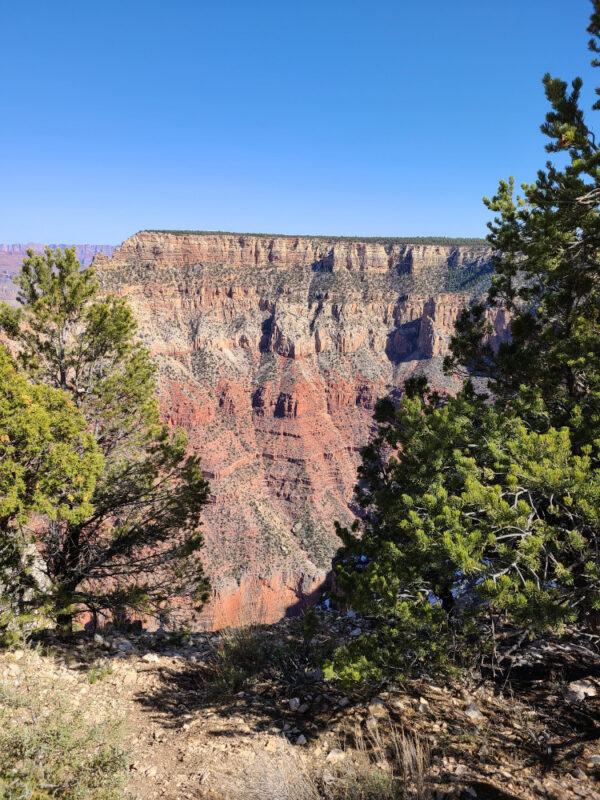 Views along the South Rim Trail GCNP