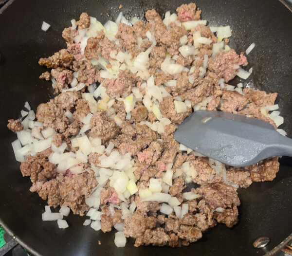 Meat and onions in pan