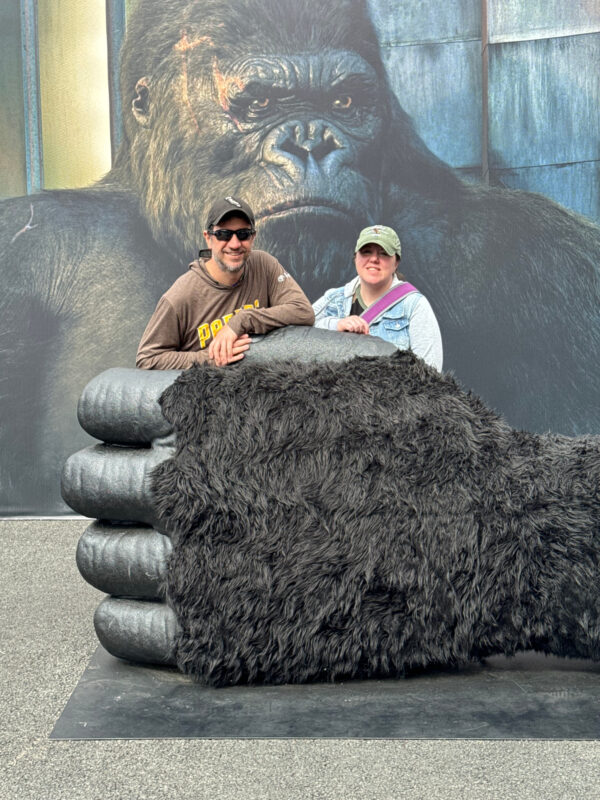 couple grabbed by King Kong at Universal Studios 60th Anniversary special walk through area at Universal Studios Hollywood