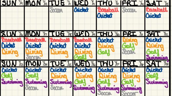 LA28 Olympic Ticket Purchasing Planning