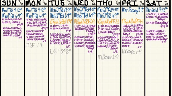 LA28 Olympic Ticket Purchasing Planning