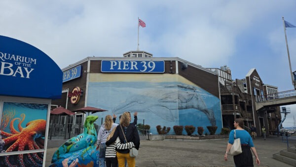 Pier 39 - San Francisco